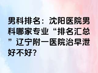 男科排名：沈阳医院男科哪家专业“排名汇总”辽宁附一医院治早泄好不好？